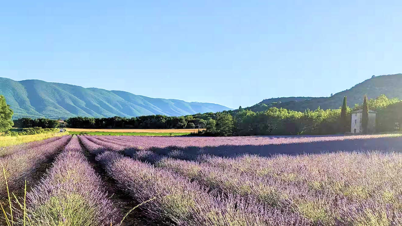 x luberon provence