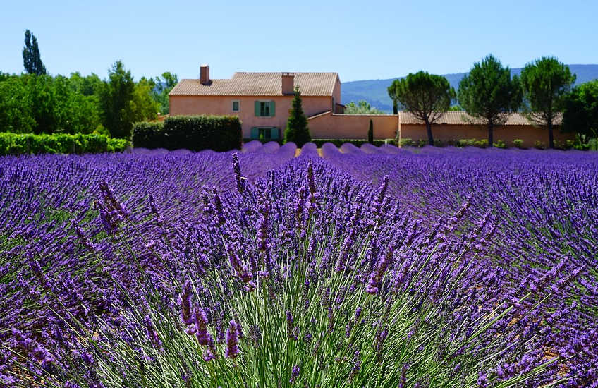 buy house in france