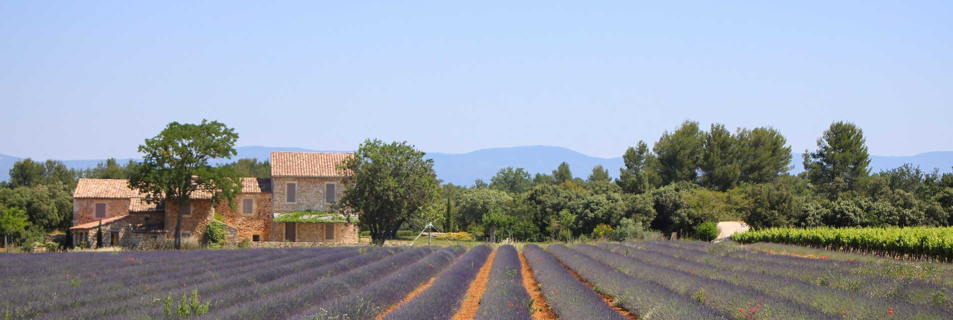 Find your long-term rental in France